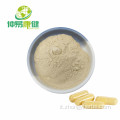 Estratto ginseng polvere 80% ginsenosides UV